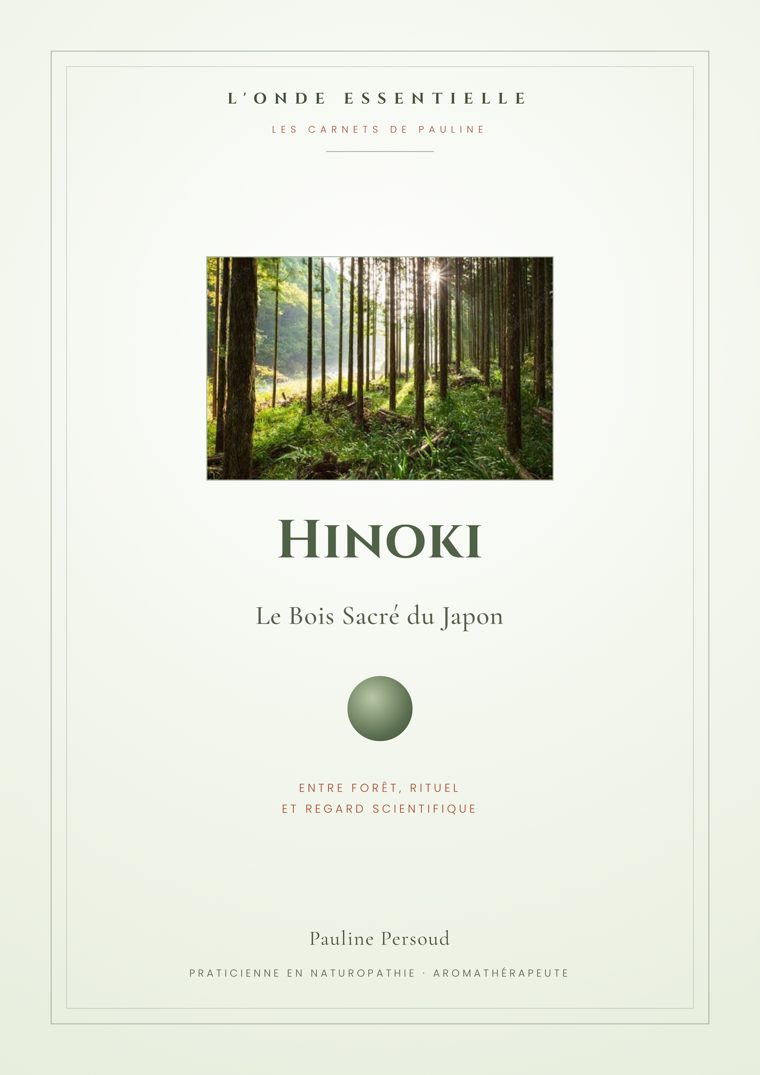 Carnet Hinoki — Le Bois Sacré du Japon